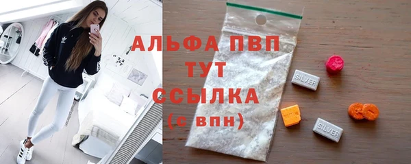 прущие грибы Алзамай