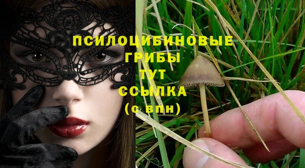 мяу мяу мука Алексеевка