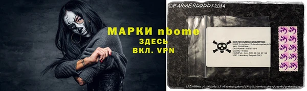 прущие грибы Алзамай