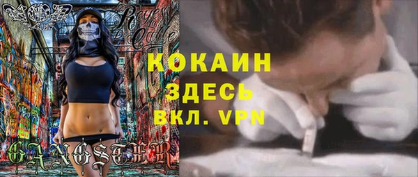 кокс Алексин