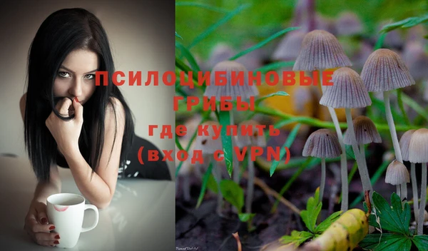 мяу мяу мука Алексеевка