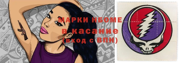 прущие грибы Алзамай