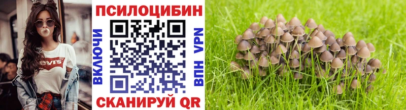 Псилоцибиновые грибы Psilocybe Сим